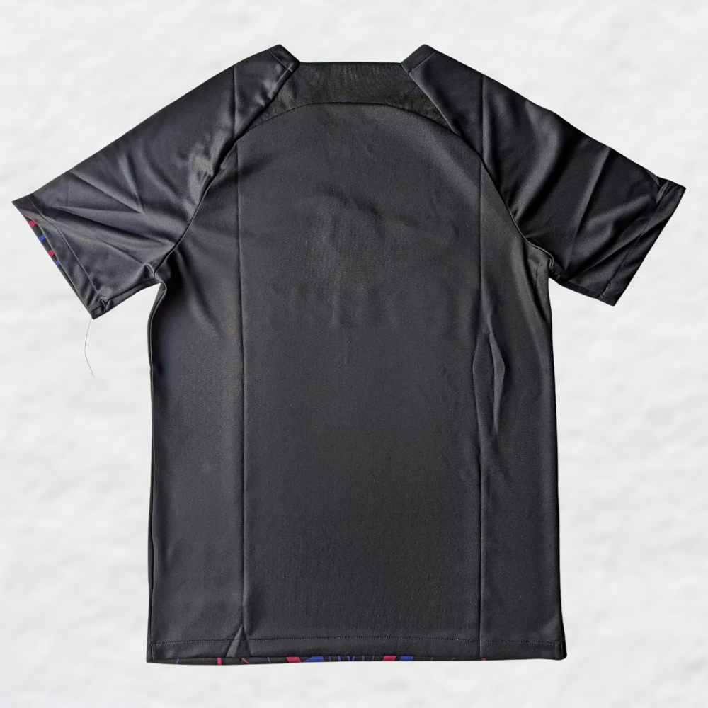 BARCELONA 'CATALAN VEINS' 2024/25 SPECIAL EDITION SHIRT